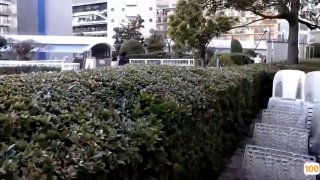 性欲旺盛的少女在她的屁股里接受大鸡巴,并在她的脸上接受精液